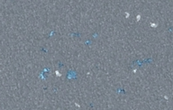 color pago